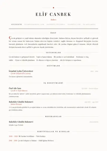 Bakıcı Cv Örnekleri cv indir